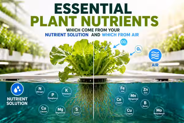 Which of the 17 essential plant nutrients come from your nutrient solution and which from air