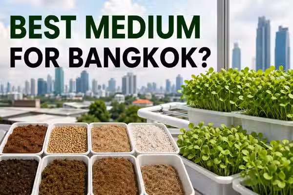 Microgreen growing medium comparison: coco coir, hemp, peat, rockwool, vermiculite, soil, and hydro tested in Bangkok