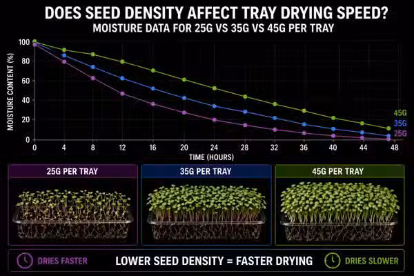 Does seed density affect tray drying speed? Moisture data for 25g vs 35g vs 45g